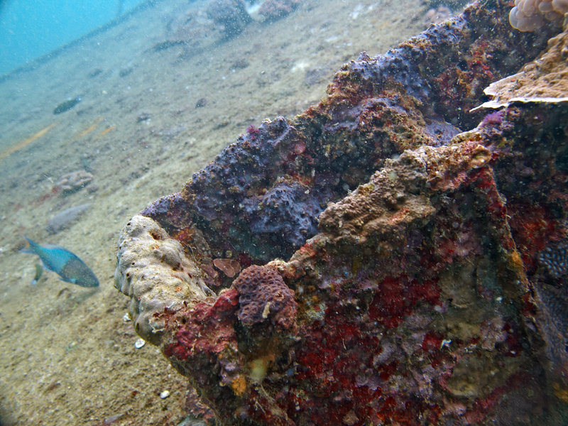 Wreck, ACT